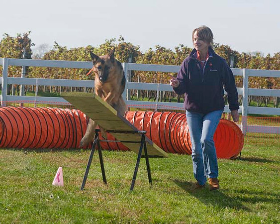 AllfurfunAgility 103010_0147