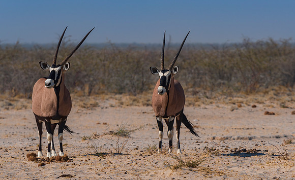 Namibia_060616_0509