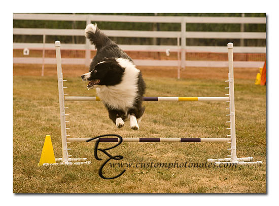 _RMC1480 copy