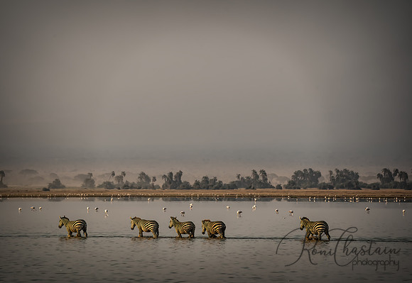 Kenya_Jul242019_6610