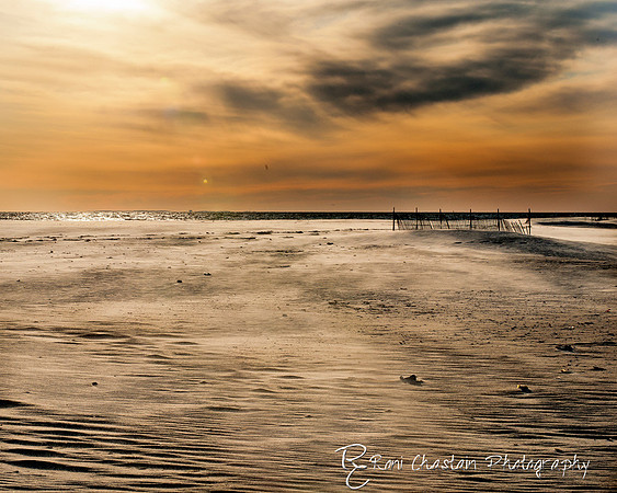 NickersonBeach_Jan292012_0048