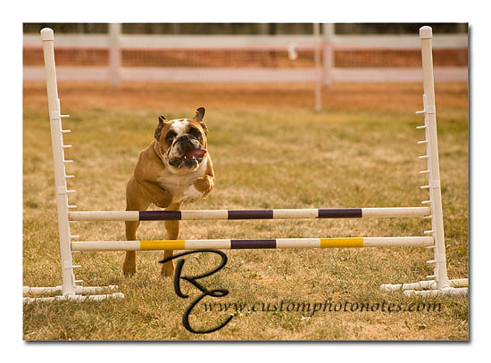 _RMC1543 copy