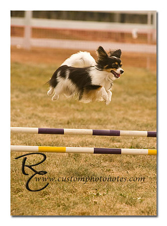 _RMC1526 copy