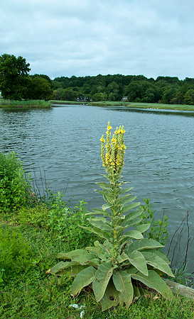 ColdSpringHarbor_Jul302012_0063 copy