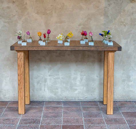 Cloisters_0037