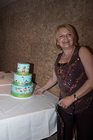 KristaBabyShower_011815_0014