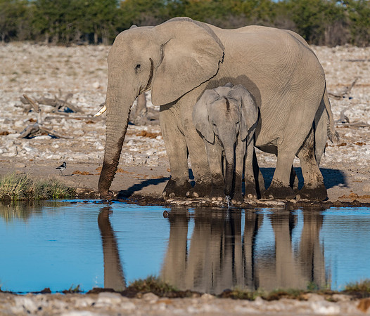 Namibia_061016_1447