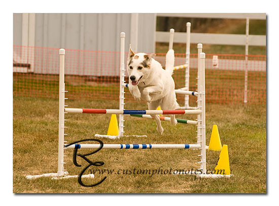 _RMC1614 copy
