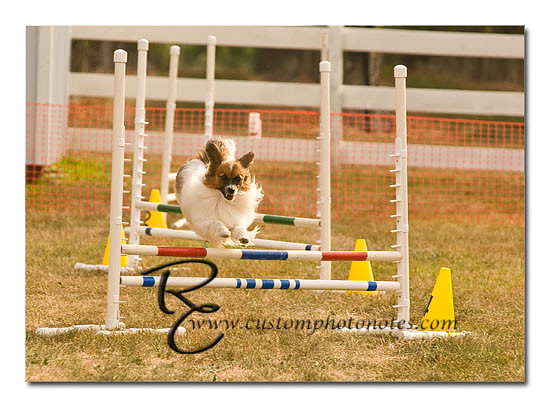 _RMC1544 copy