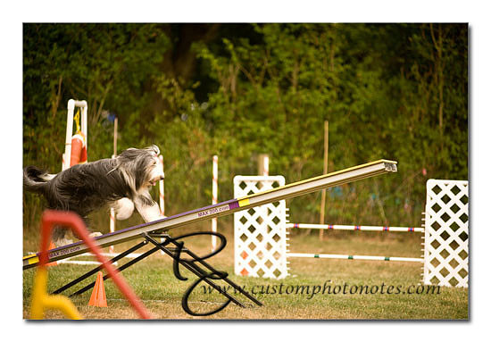 _RMC1764 copy