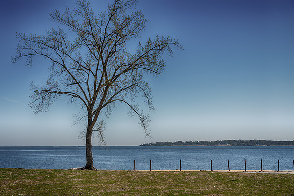 HART Island_0048