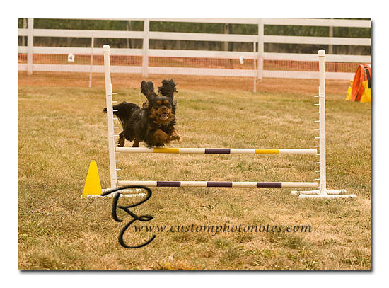 _RMC1414 copy
