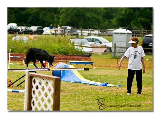 Dogs 6122010_3493 copy