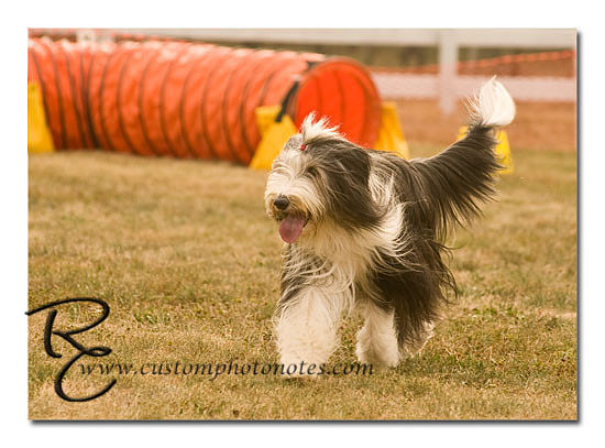 _RMC1519 copy