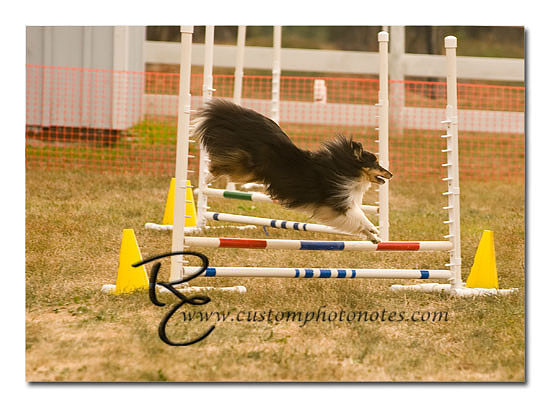 _RMC1523 copy