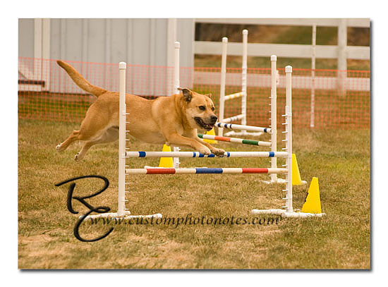 _RMC1605 copy