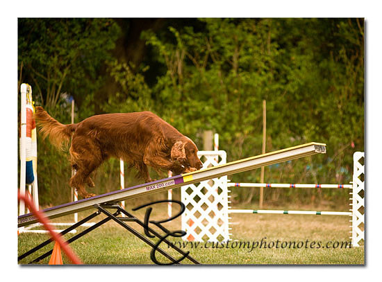 _RMC1793 copy