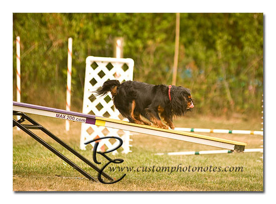 _RMC1691 copy