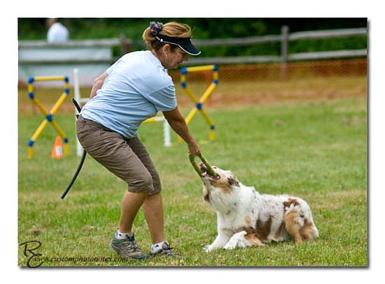 Dogs 6122010_3526 copy