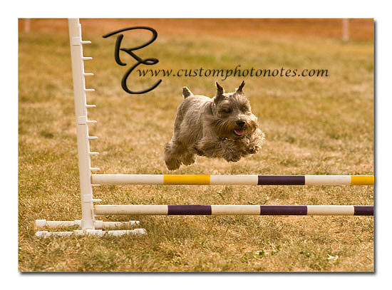 _RMC1541 copy