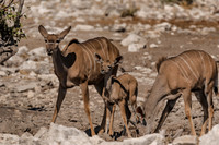 Namibia_061216_2176