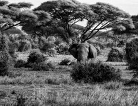Kenya_Jul222019_4202