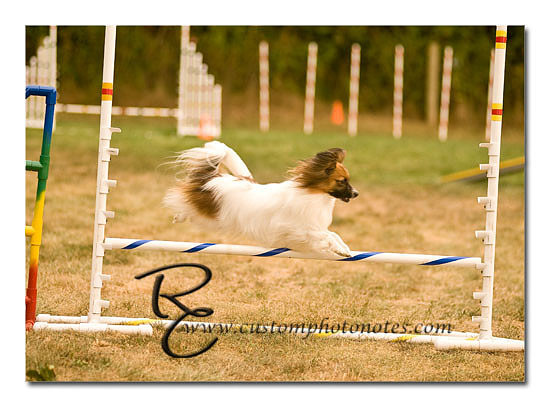 _RMC1680 copy