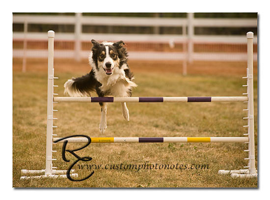 _RMC1577 copy