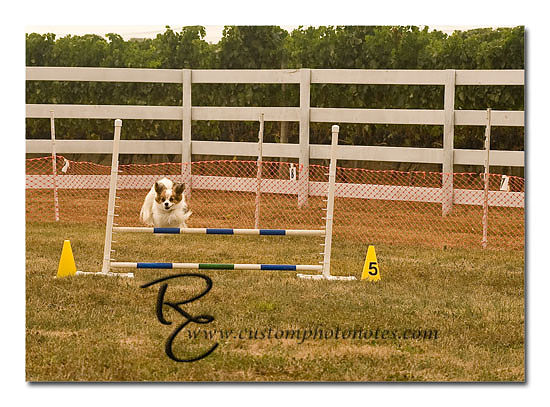 _RMC1418 copy