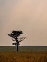 Kenya_Jul252019_5916