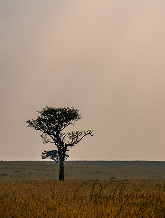 Kenya_Jul252019_5916