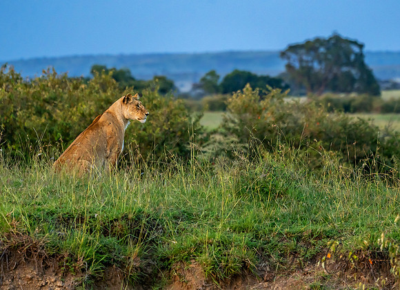 Kenya_Jul272019_4997