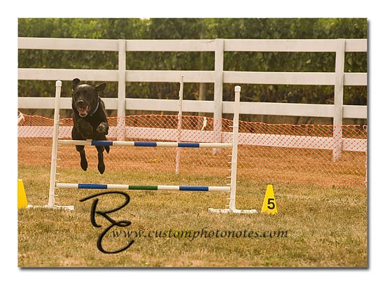 _RMC1463 copy