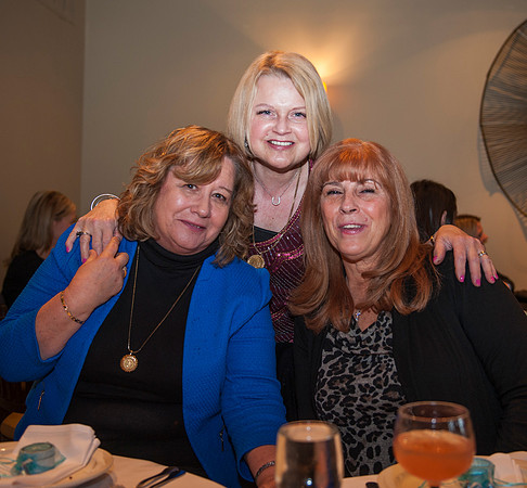 KristaBabyShower_011815_0043