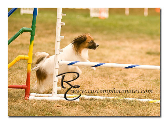 _RMC1679 copy