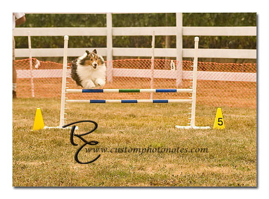 _RMC1436 copy