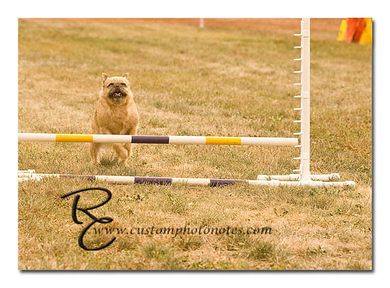 _RMC1391 copy
