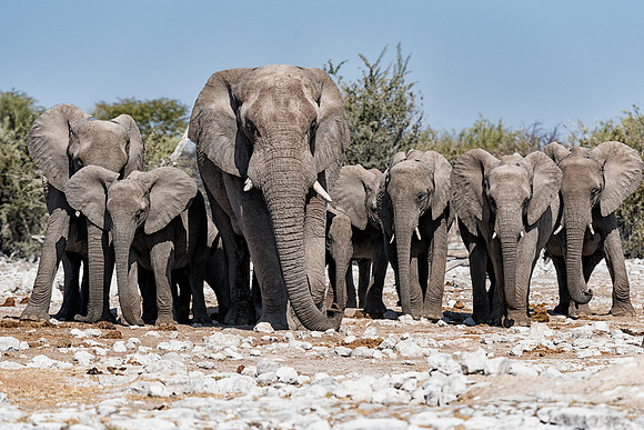 Namibia_060516_0850