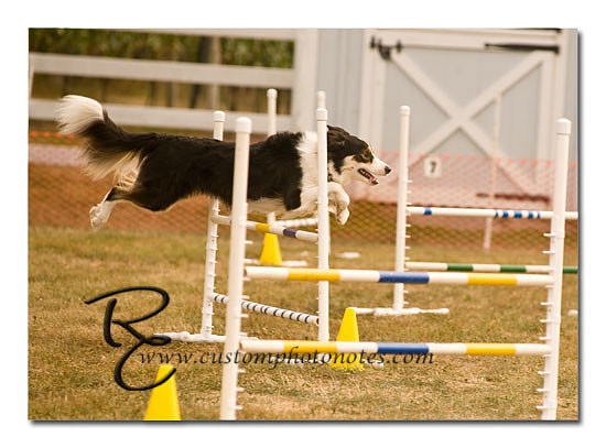 _RMC1567 copy
