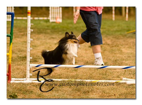 _RMC1619 copy