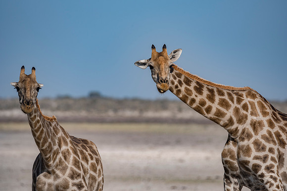 Namibia_060516_0920