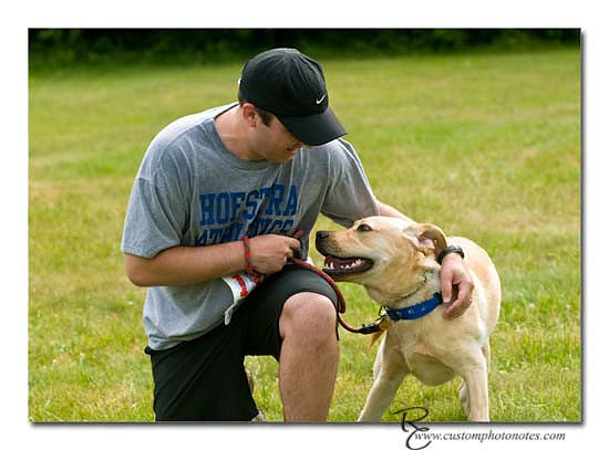 Dogs 6122010_3468 copy