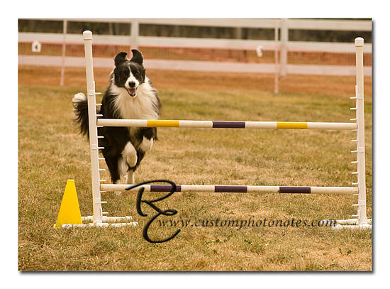 _RMC1448 copy