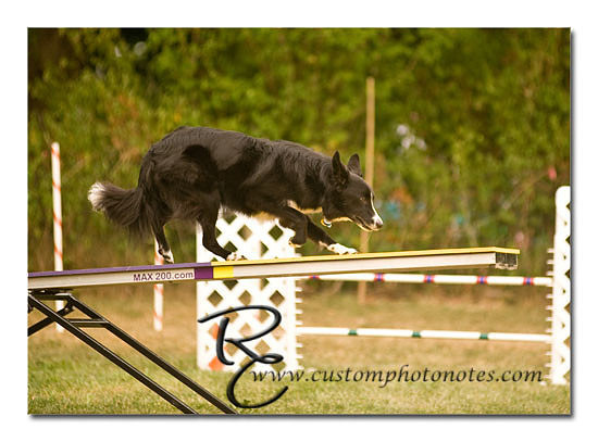 _RMC1759 copy