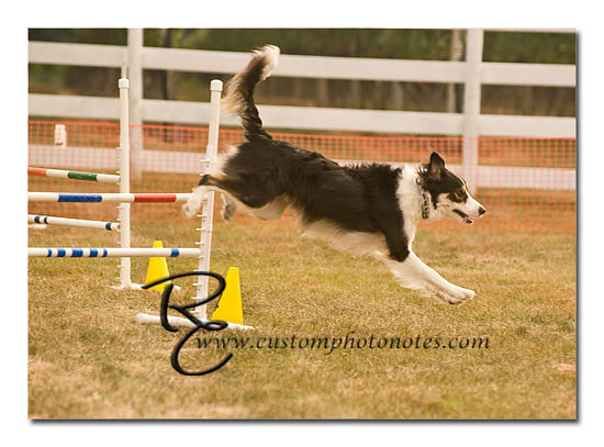 _RMC1558 copy