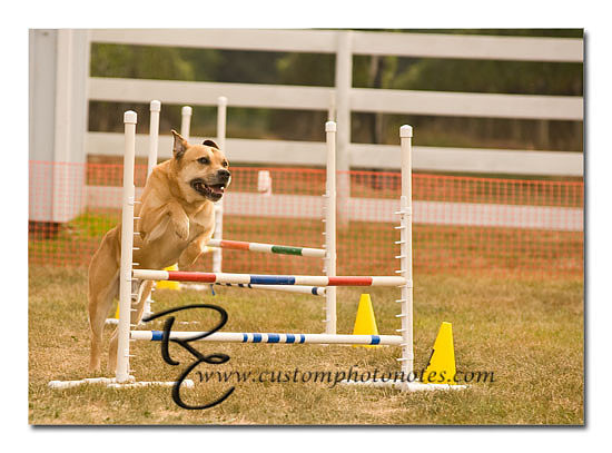 _RMC1553 copy