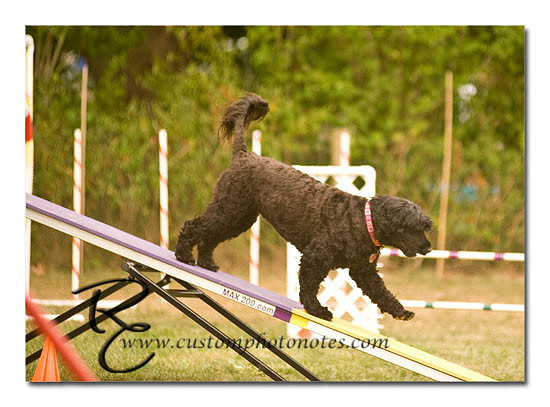 _RMC1738 copy
