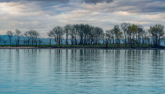 HART Island_0015