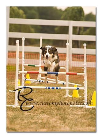 _RMC1595 copy