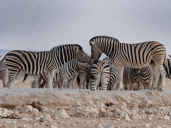 Namibia_060716_0343